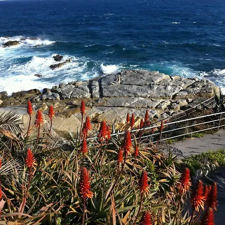 Dormiusa Бордигера