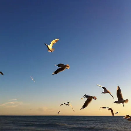 Dormiusa Casa de hóspedes 4*