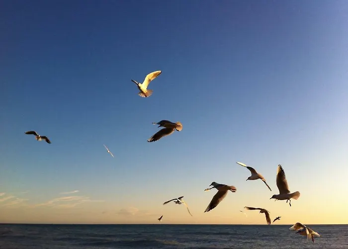 Dormiusa Guest house 4*